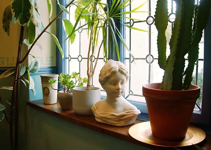 Hotel Schillers & Cafe - Garni - 3*