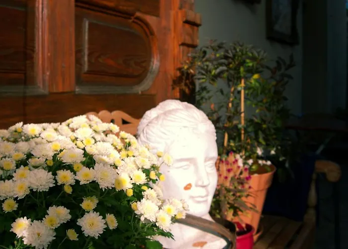 Schillers & Cafe - Garni - 호텔 뤼덴샤이드